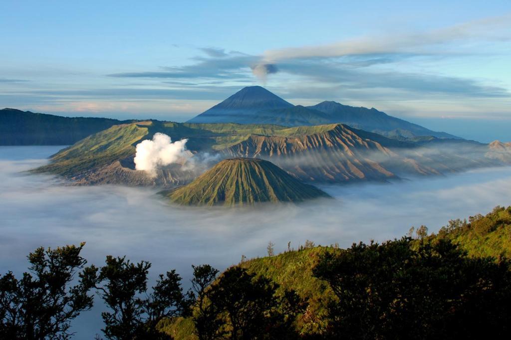 Hotel Lereng Bromo Pasuruan Exterior foto